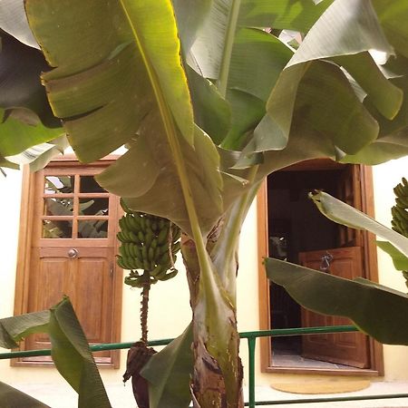 Casa Rural Llano Campo แอร์มิกวา ภายนอก รูปภาพ