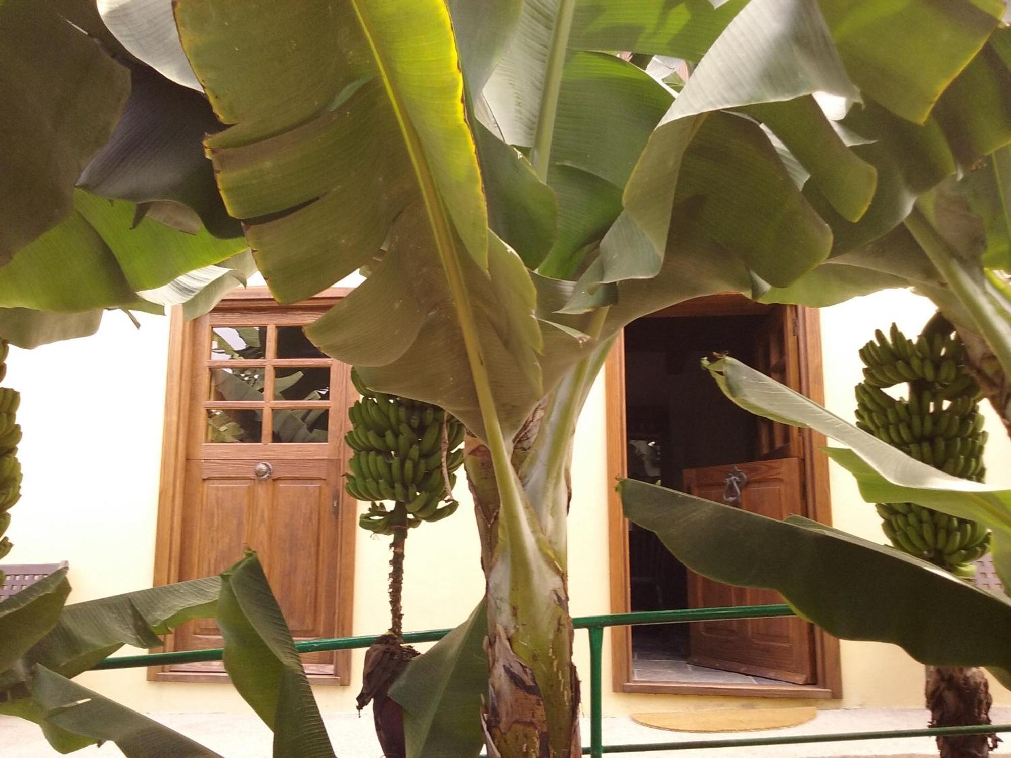Casa Rural Llano Campo แอร์มิกวา ภายนอก รูปภาพ