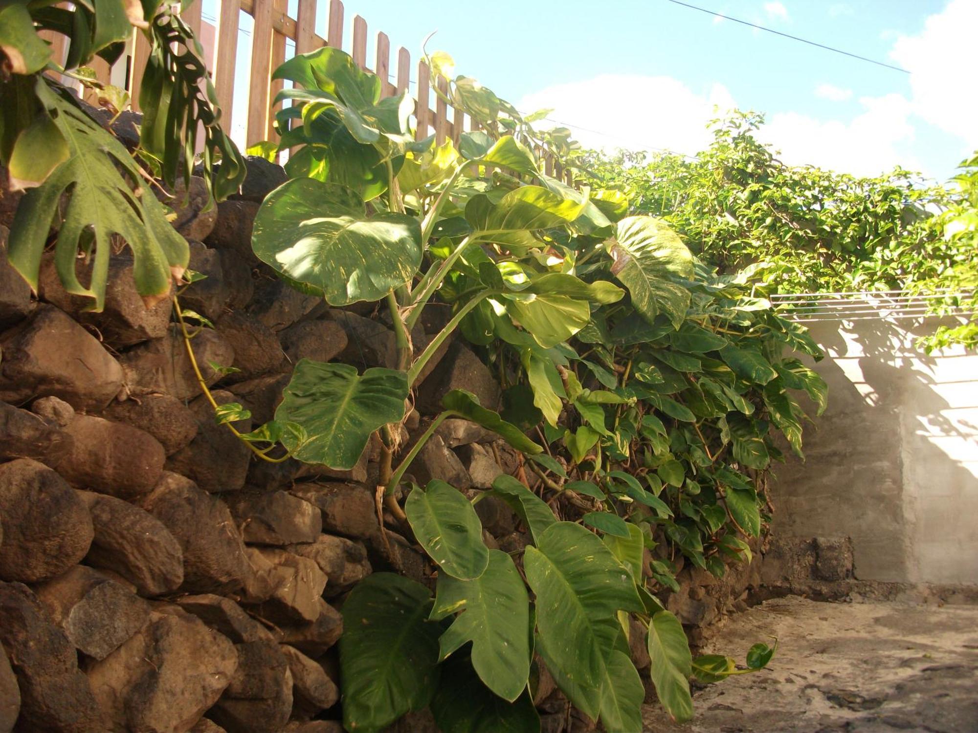 Casa Rural Llano Campo แอร์มิกวา ห้อง รูปภาพ