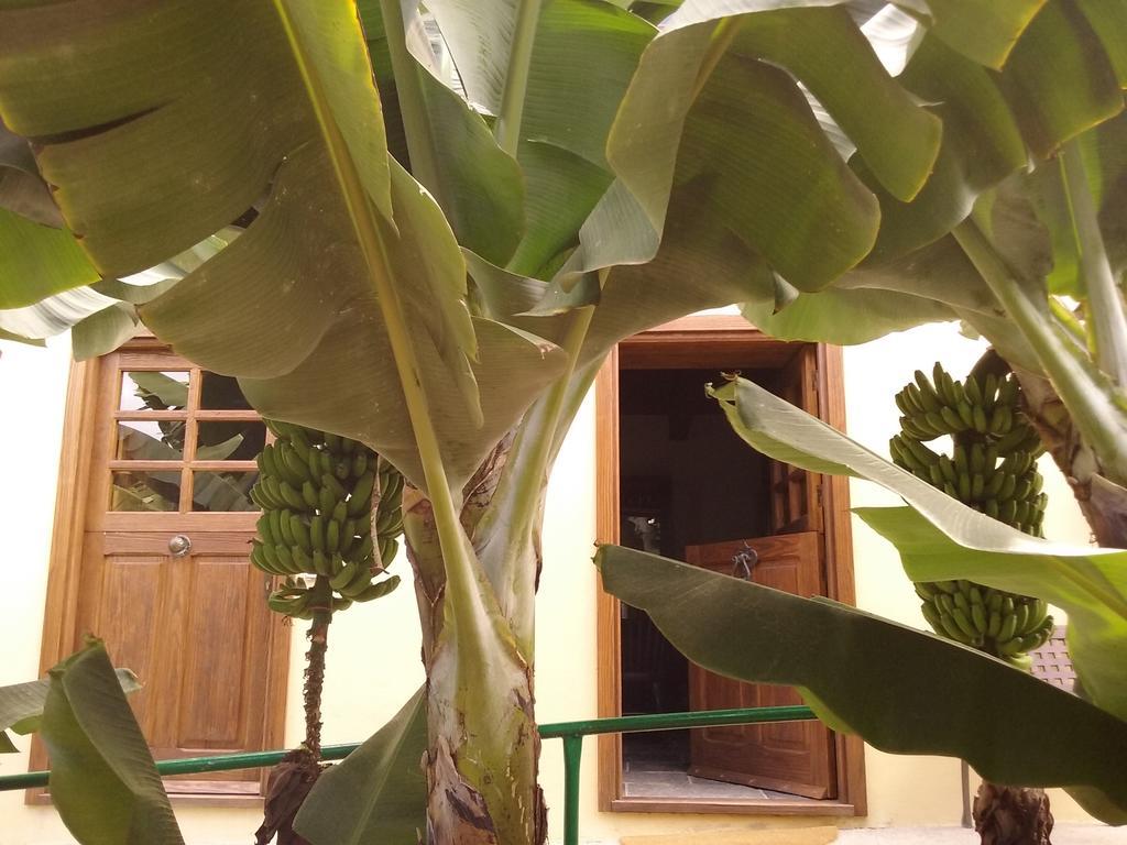 Casa Rural Llano Campo แอร์มิกวา ภายนอก รูปภาพ